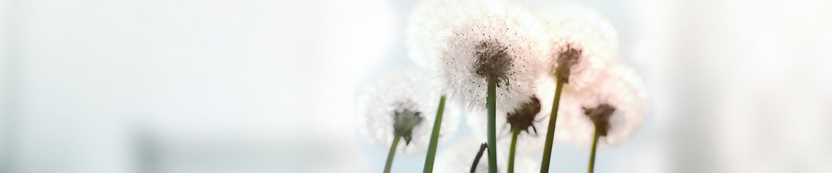 yy易游体育平台合法吗是真的吗